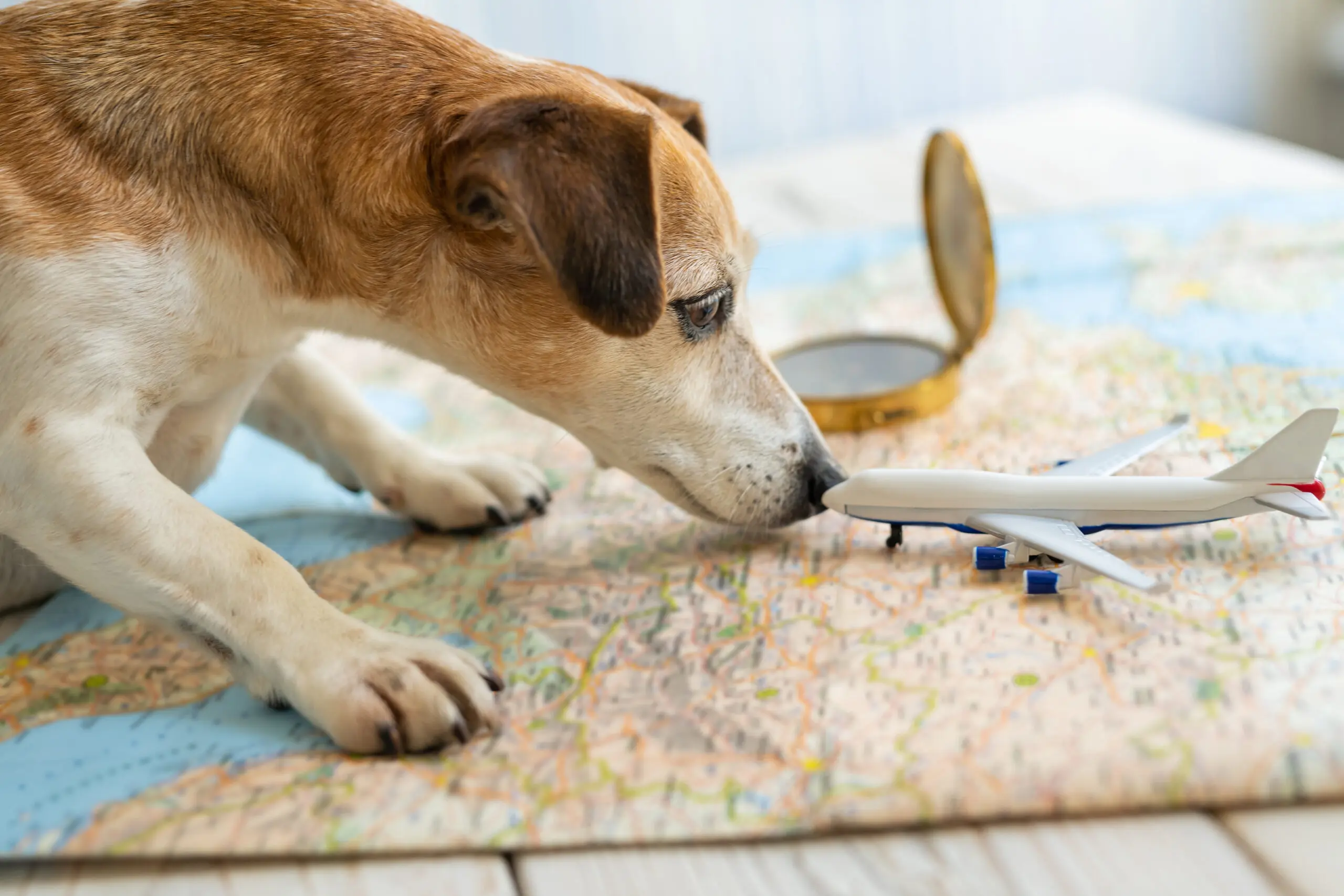 shutterstock_1766622578-scaled